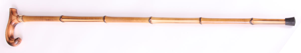 foto vych�zkov� h�l